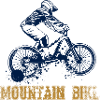 VTT