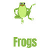 Life is better with frogs,