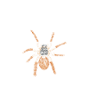 Proud Tarantula Parents