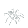 Life is better with a Tarantula