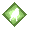 Parakeet, Bird, Animal