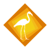 Flamingo Exotic Exotic
