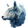 Schaf