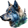 Akita