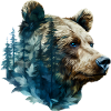 Bär