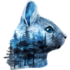 Chinchilla