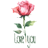 Love you