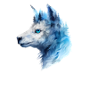 Lama