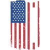 Photographer Us Flag Photography