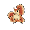 Squirrel
