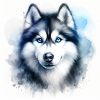 Siberian Husky