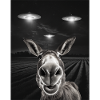 Grappige kont selfie voor UFO's Asses UFO