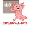 Axolotl Teaching Teacher Axolotls