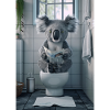 L’actualité de Koala
