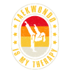 Taekwondo is my therapy
