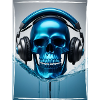 Ice Skull DJ