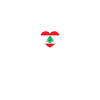 Liban Amour Drapeau Libanais Libanais