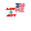Liban États-Unis Drapeau Américain Libanais
