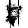 Arty Chimp