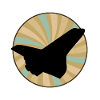 Aviation Airplane