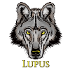 Lupus Wolf