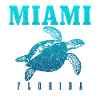 Miami, Florida, USA