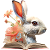 Kaninchen Lesen Buch