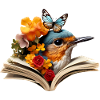 Robin Lesen Buch