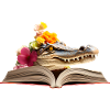 Krokodil Lesen Buch