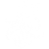 Octopus Skull