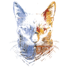Bunte Katzen