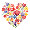Tulip Heart