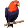 Parrot Bird