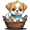 Cute dog in dog basket