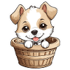 Cute dog in dog basket