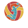 Volleyball Volleyballer