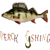 Perch Angler