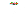 Nutritionist-to-be Registered