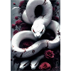 snake