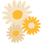 Yellow flowers