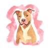 Aquarelle de Pitbull