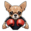 Chihuahua Boxer