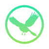 Flying, Animal, Flying,