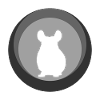 Chinchilla Mouse Hamster