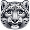 Snow Leopard Leopard White Leopard