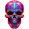 Neon Skull 2