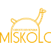 Miskolc játszótér Animal