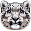 Snow Leopard Leopard White Leopard