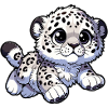Snow Leopard Leopard White Leopard
