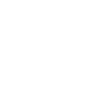 MAYA-ERBE PETROGHLYPH